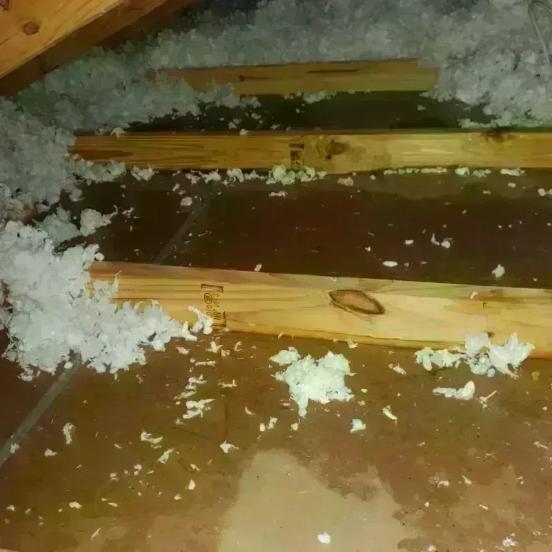 Attic Water Damage in Knox County, IL