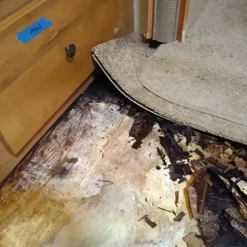 Wood Floor Water Damage in Knox County, IL